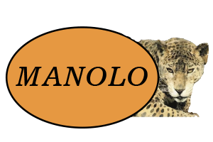 Desechables Manolo  logotipo